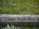 image of grave number 816584